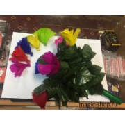 Фокус распускающийся букет цветов | Flower Blooming Boquet