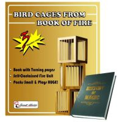 Купить Bird Cages From Book of Fire - by Sumit Chhajer