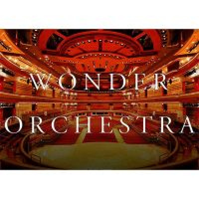 Купить Волшебное пианино | Wonder Orchestra by King of Magic