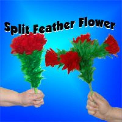 Купить Цветы | Split Feather Flower - 4