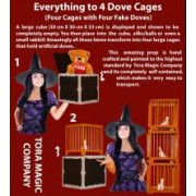 Everything to 4 Dove Cages