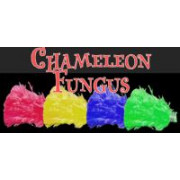 Chameleon Fungus