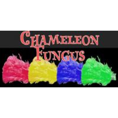 Купить Chameleon Fungus