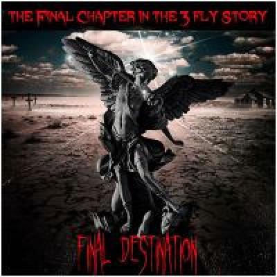 Купить Final Destination (DVD & Gimmicks) by Matthew Wright