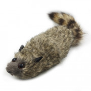 Фокус живой енот | Reality Raccoon
