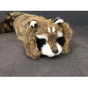Фокус живой енот | Reality Raccoon