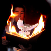 Фокус голубь из горящей книги 