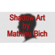 Shadow Art  by Mathieu Bich 