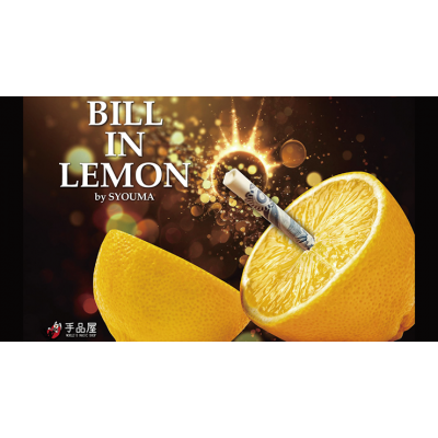 Купить Купюра в лимоне | Bill In Lemon by Syouma